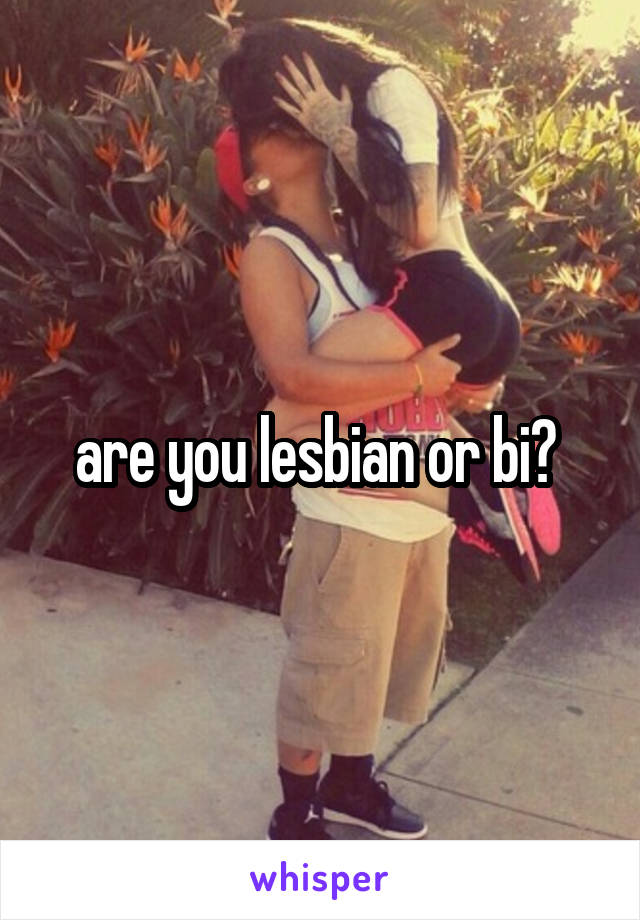 are you lesbian or bi? 