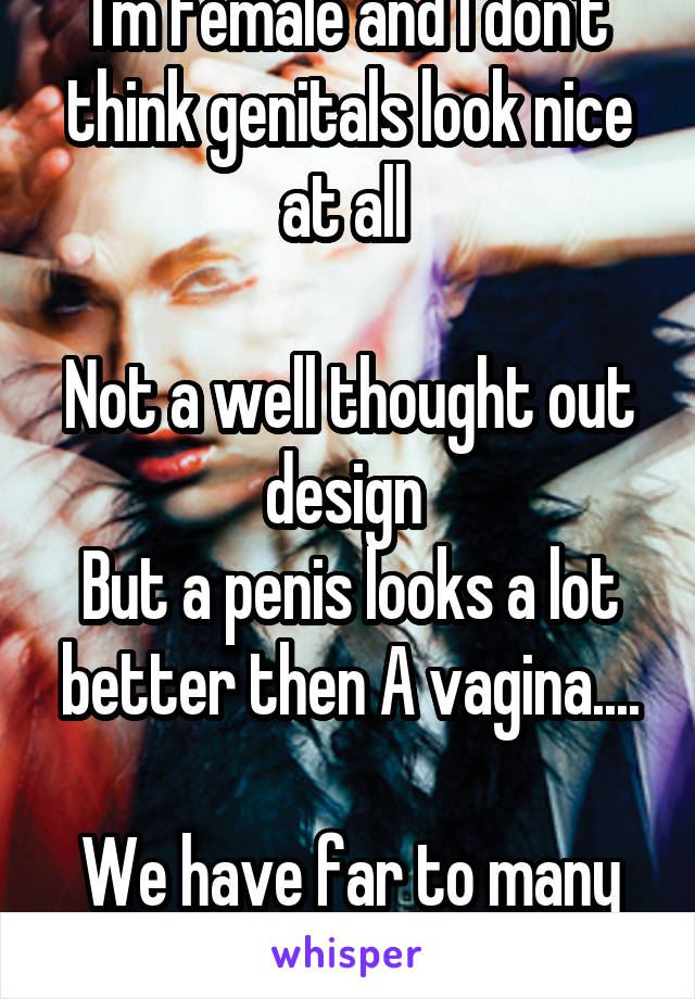 I'm female and I don't think genitals look nice at all 

Not a well thought out design 
But a penis looks a lot better then A vagina....

We have far to many folds in one place.   