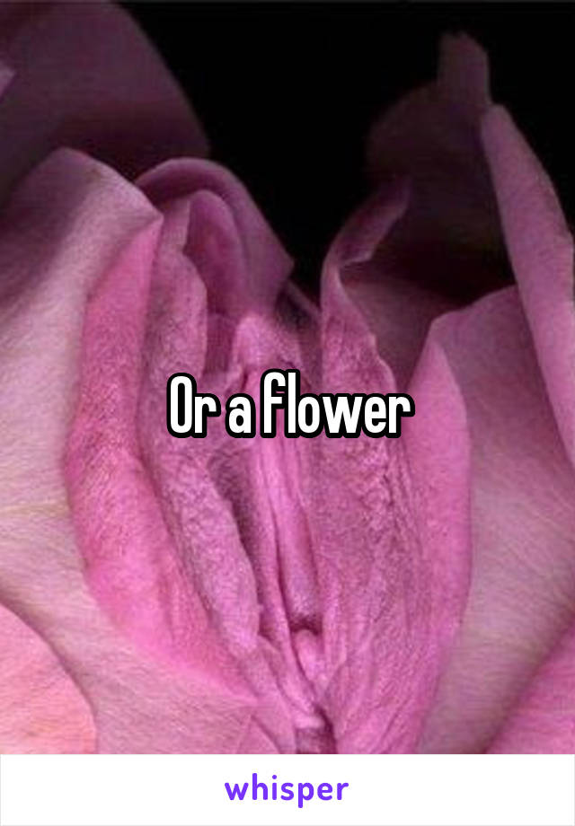 Or a flower