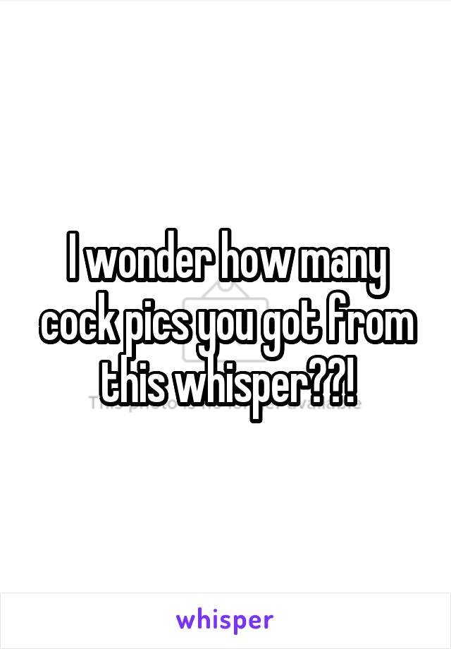 I wonder how many cock pics you got from this whisper??!