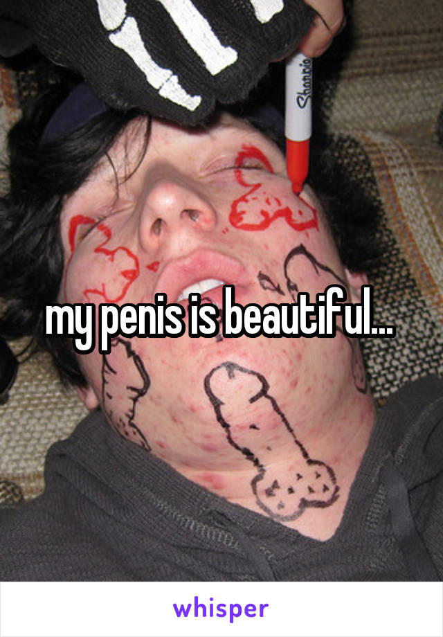 my penis is beautiful... 