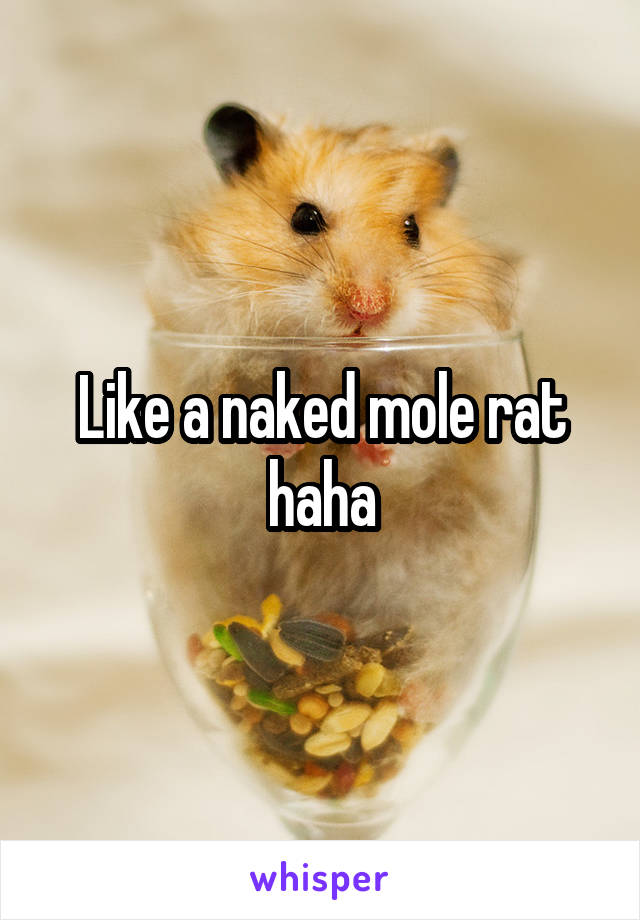 Like a naked mole rat haha