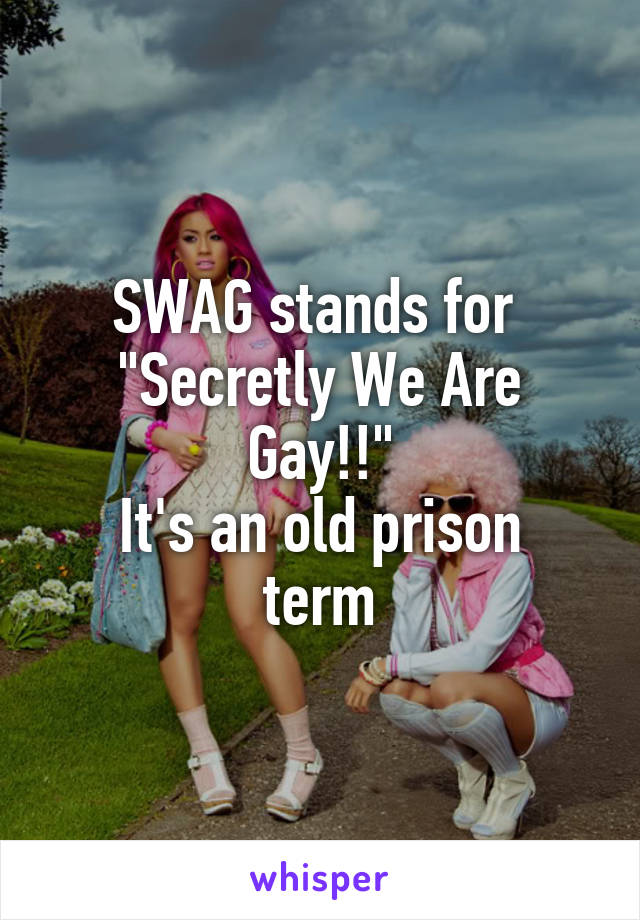SWAG stands for 
"Secretly We Are Gay!!"
It's an old prison term