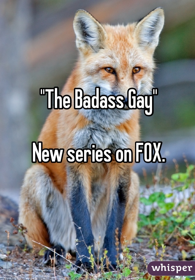 "The Badass Gay"

New series on FOX.