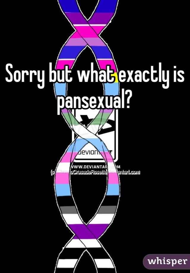 Sorry but what exactly is pansexual?