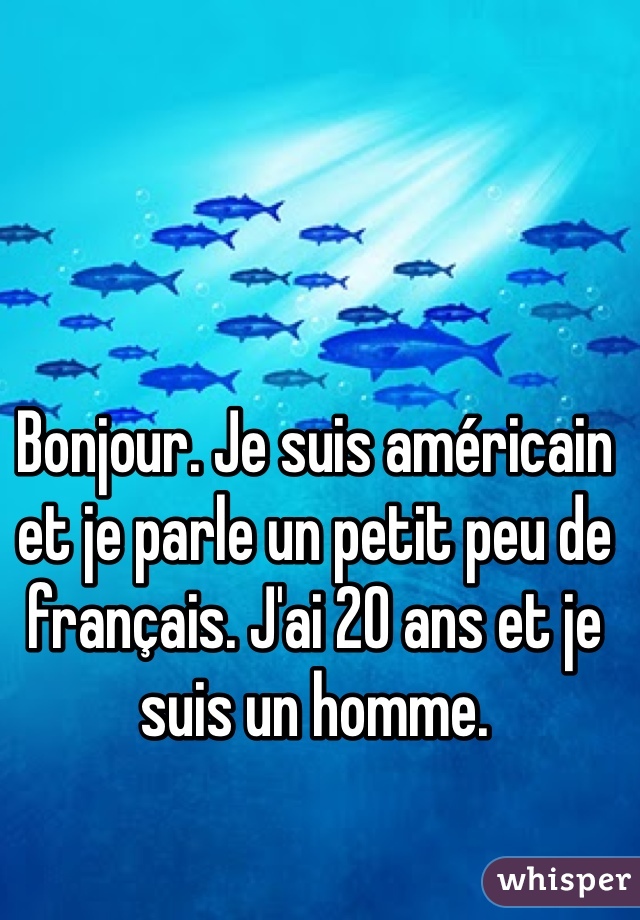 Bonjour. Je suis américain et je parle un petit peu de français. J'ai 20 ans et je suis un homme. 