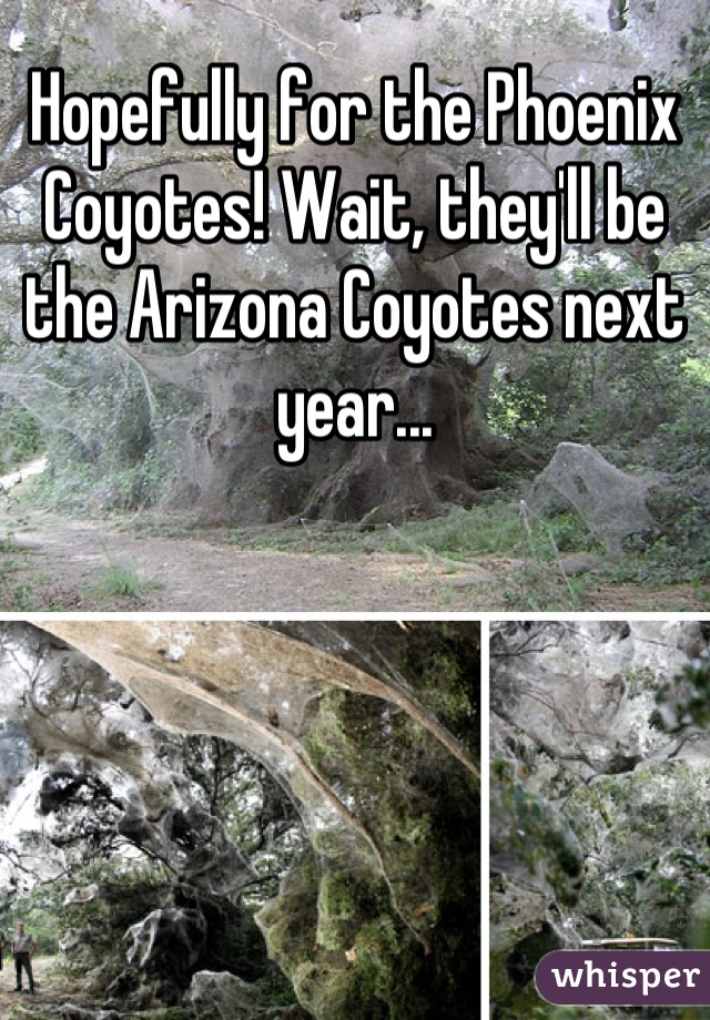 Hopefully for the Phoenix Coyotes! Wait, they'll be the Arizona Coyotes next year...