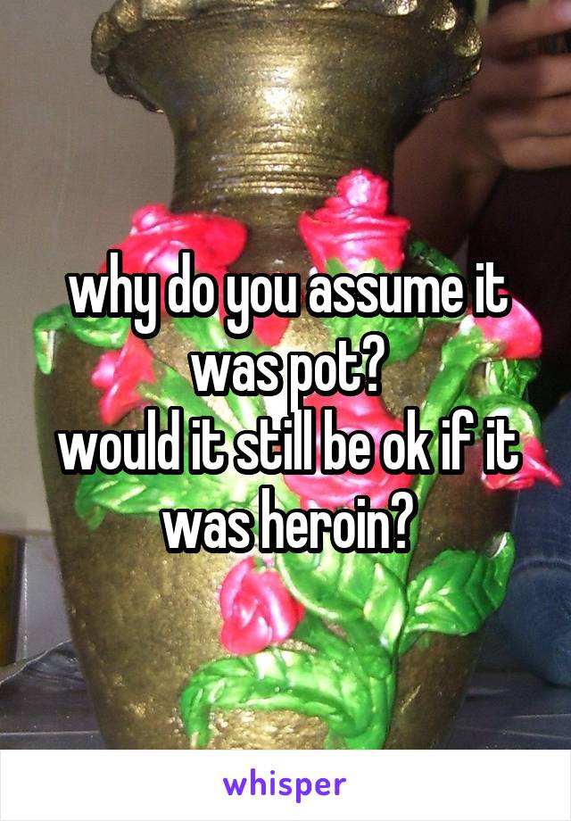 why do you assume it was pot?
would it still be ok if it was heroin?