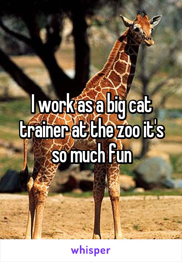 I work as a big cat trainer at the zoo it's so much fun