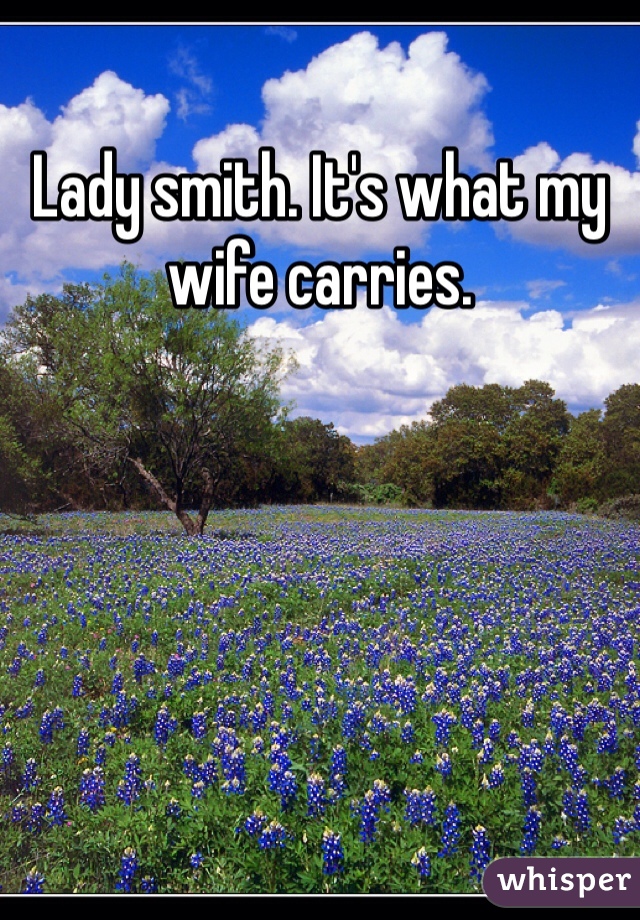 Lady smith. It's what my wife carries. 