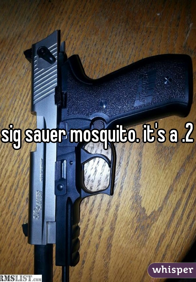 sig sauer mosquito. it's a .22