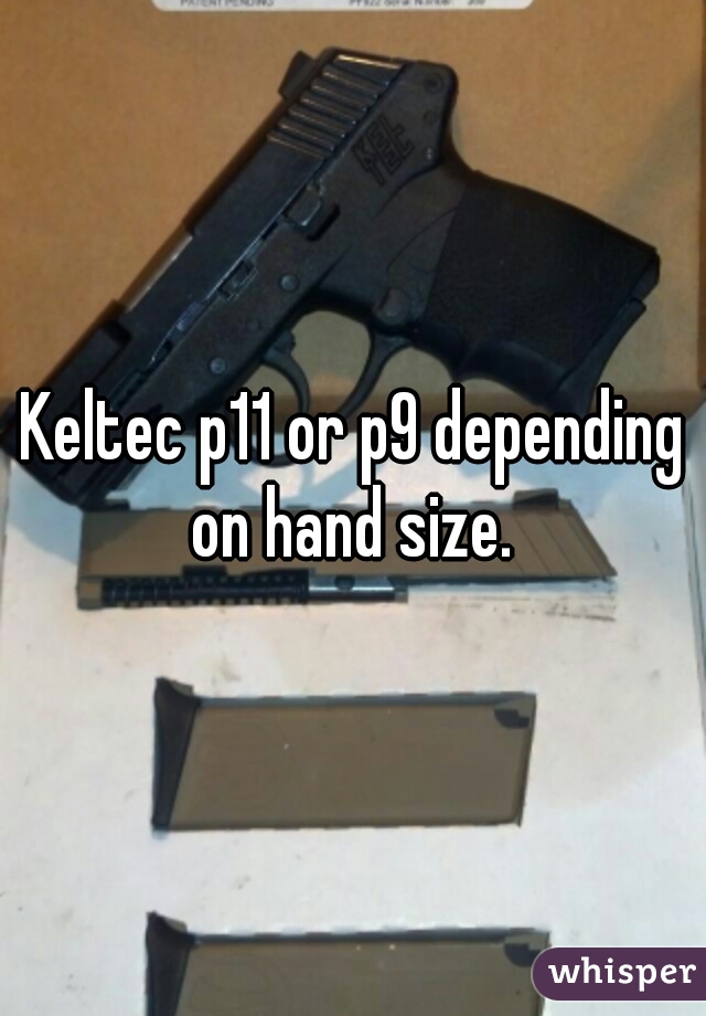 Keltec p11 or p9 depending on hand size. 