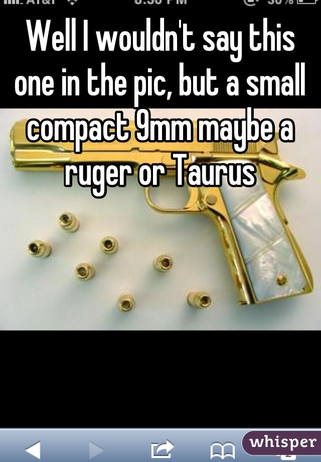 Well I wouldn't say this one in the pic, but a small compact 9mm maybe a ruger or Taurus