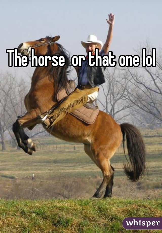 The horse  or that one lol