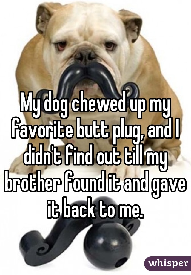My dog chewed up my favorite butt plug, and I didn't find out till my brother found it and gave it back to me.