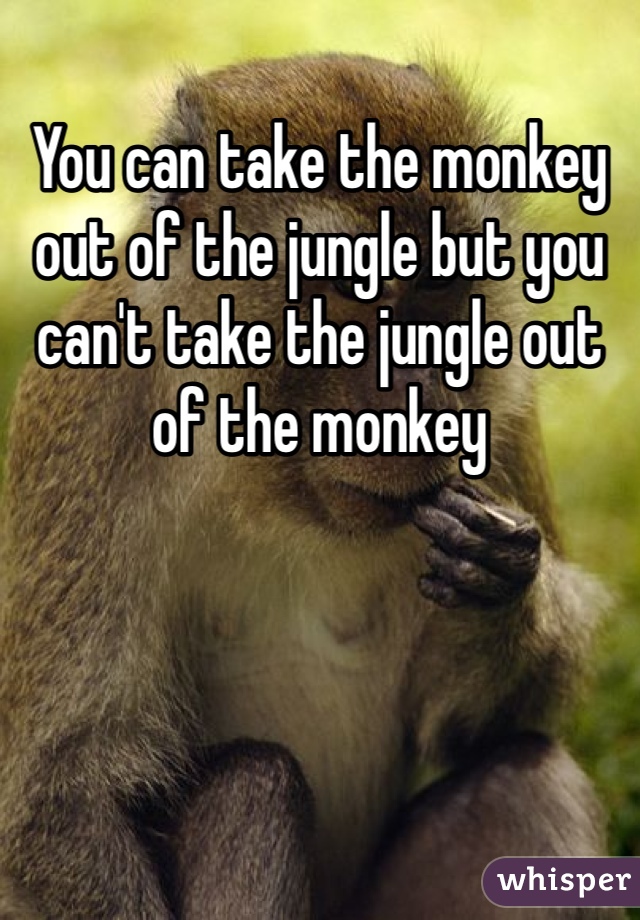 You can take the monkey out of the jungle but you can't take the jungle out of the monkey 