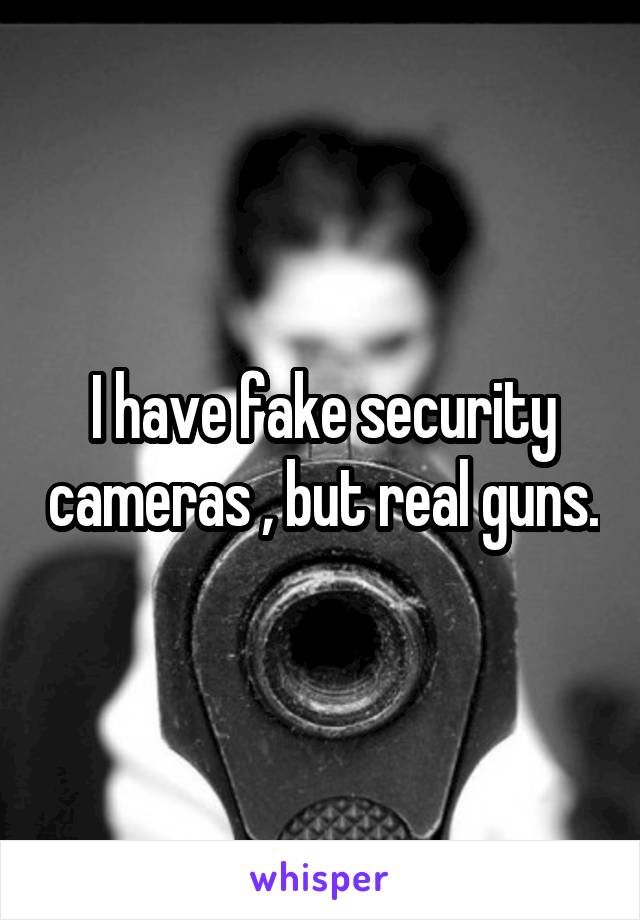 I have fake security cameras , but real guns.