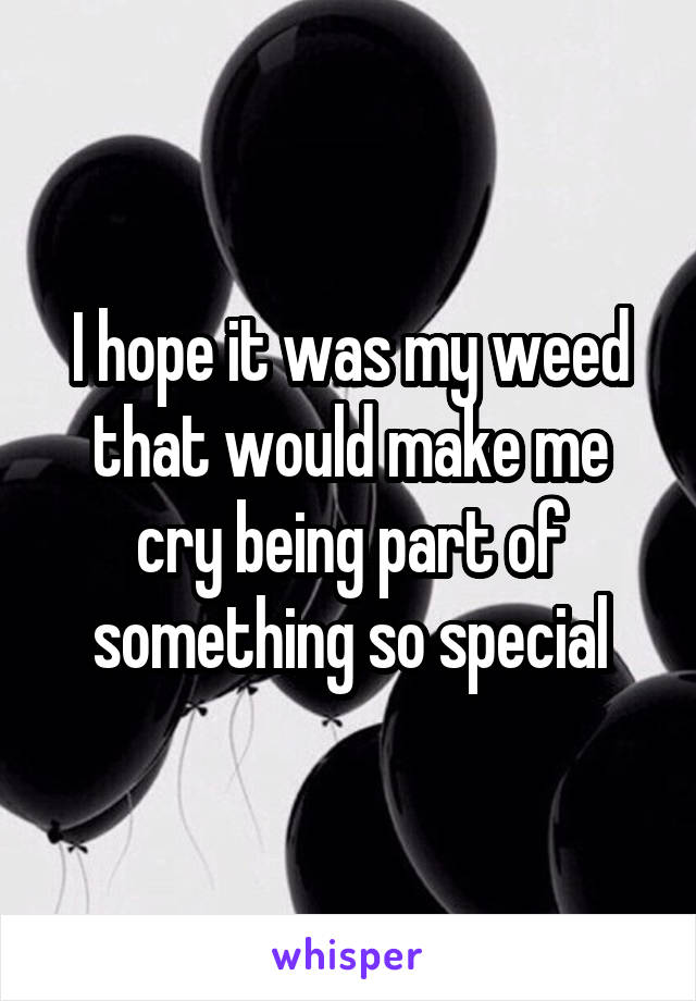 I hope it was my weed that would make me cry being part of something so special