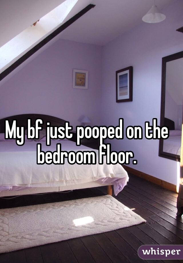 My bf just pooped on the bedroom floor.