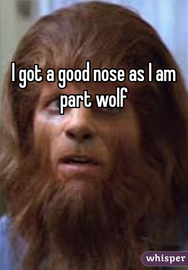 I got a good nose as I am part wolf