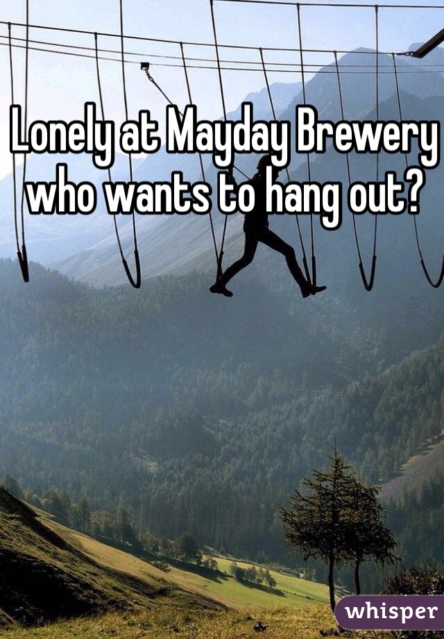 Lonely at Mayday Brewery who wants to hang out?