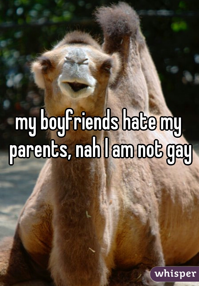 my boyfriends hate my parents, nah I am not gay