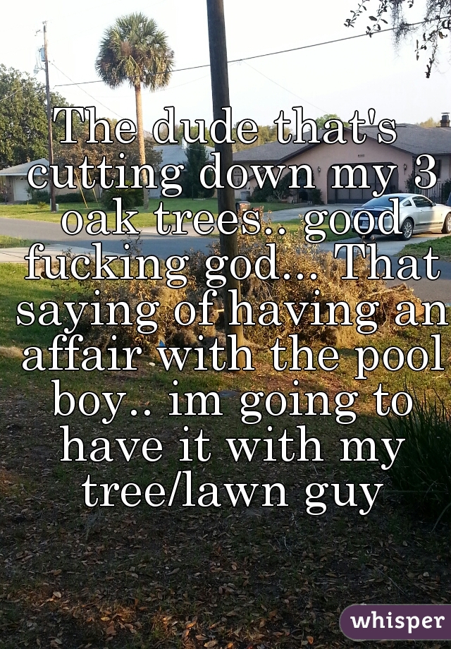 The dude that's cutting down my 3 oak trees.. good fucking god... That saying of having an affair with the pool boy.. im going to have it with my tree/lawn guy
