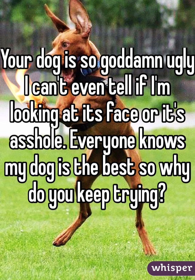 Your dog is so goddamn ugly I can't even tell if I'm looking at its face or it's asshole. Everyone knows my dog is the best so why do you keep trying?