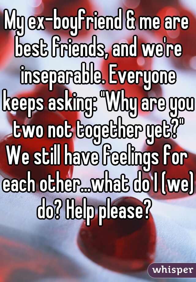 My ex-boyfriend & me are best friends, and we're inseparable. Everyone keeps asking: "Why are you two not together yet?"
We still have feelings for each other...what do I (we) do? Help please?  