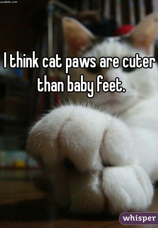 I think cat paws are cuter than baby feet.