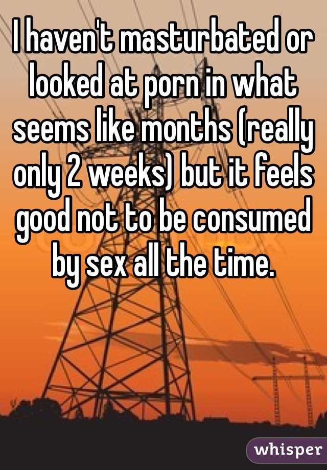 I haven't masturbated or looked at porn in what seems like months (really only 2 weeks) but it feels good not to be consumed by sex all the time. 