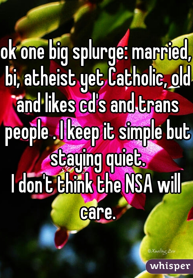 ok one big splurge: married, bi, atheist yet Catholic, old and likes cd's and trans people . I keep it simple but staying quiet.
I don't think the NSA will care.