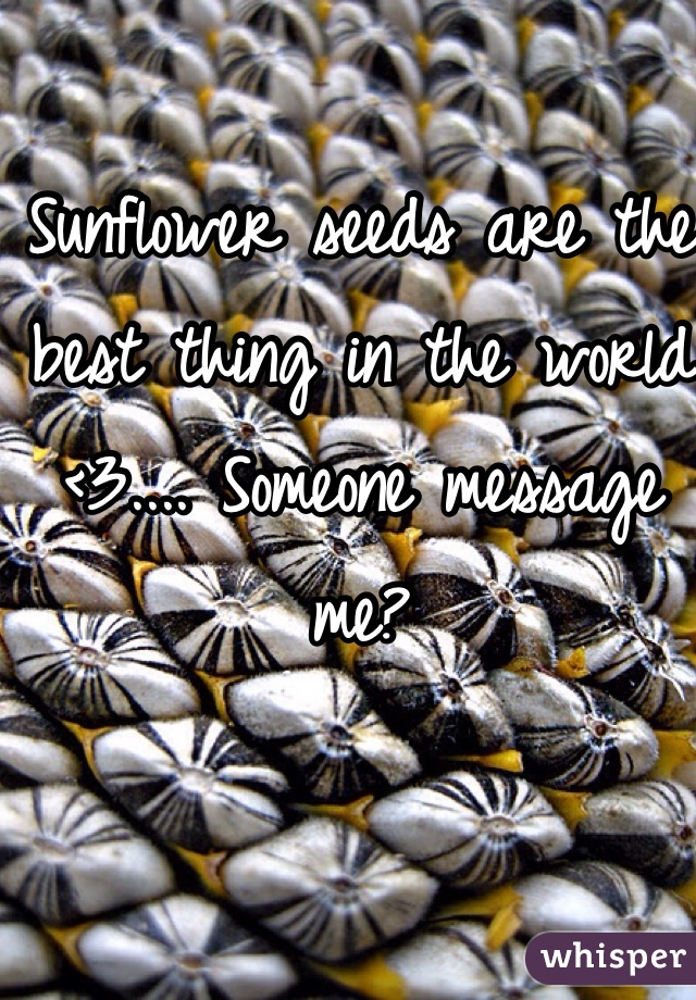Sunflower seeds are the best thing in the world <3.... Someone message me?