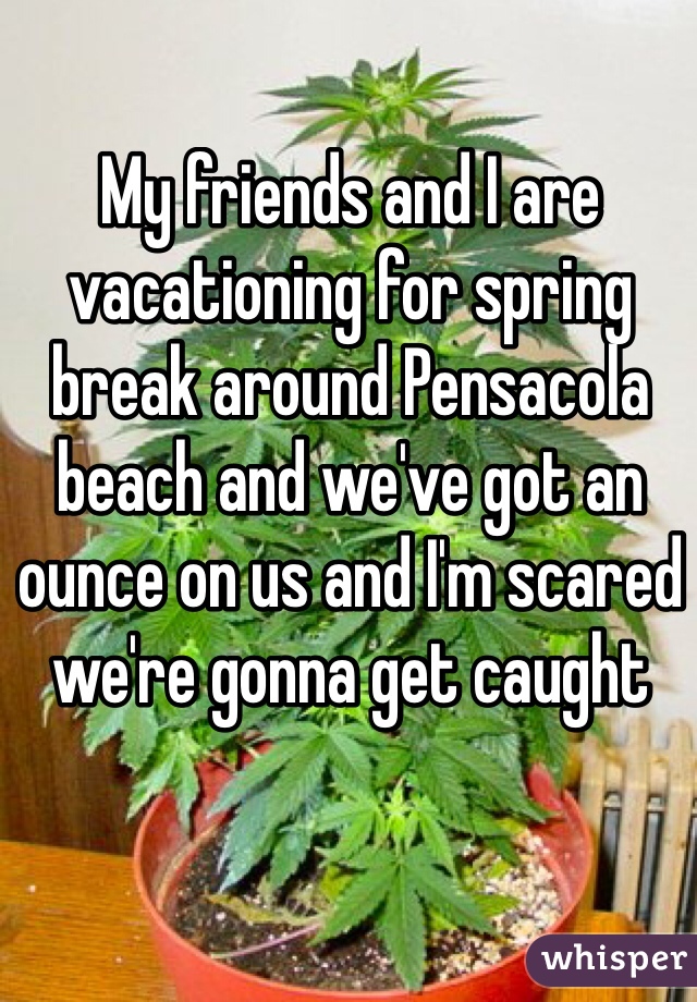 My friends and I are vacationing for spring break around Pensacola beach and we've got an ounce on us and I'm scared we're gonna get caught