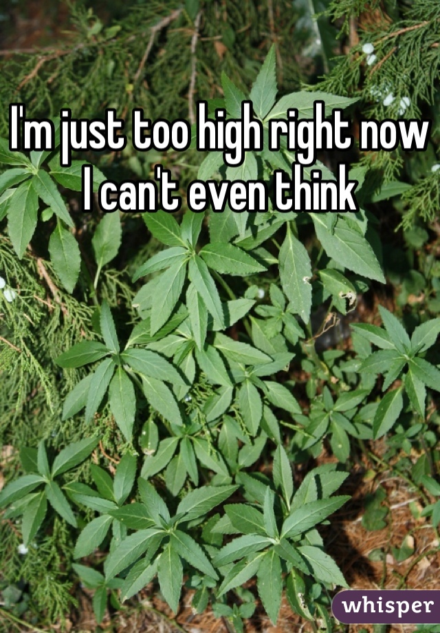 I'm just too high right now
I can't even think