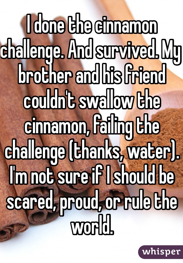 I done the cinnamon challenge. And survived. My brother and his friend couldn't swallow the cinnamon, failing the challenge (thanks, water). I'm not sure if I should be scared, proud, or rule the world.