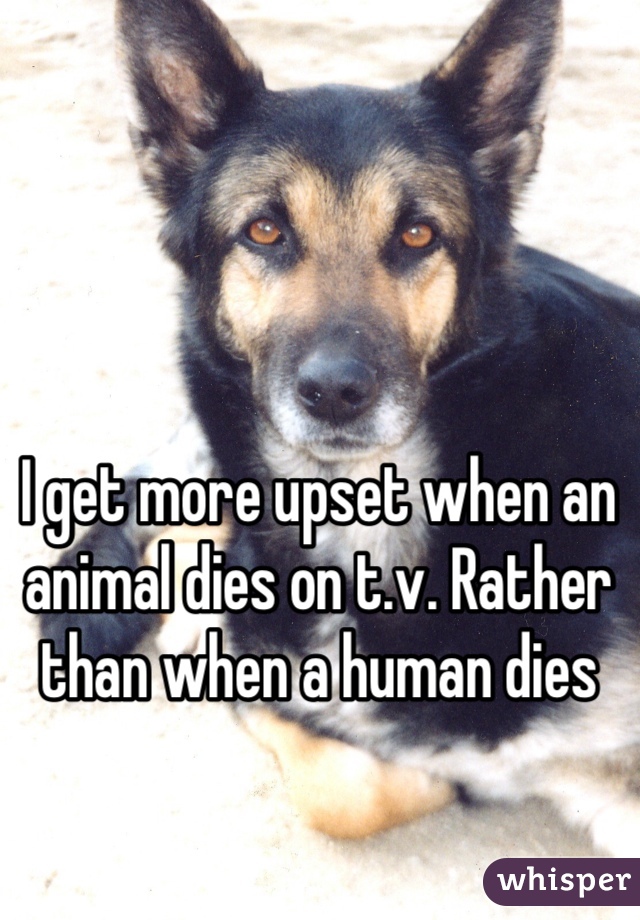 I get more upset when an animal dies on t.v. Rather than when a human dies