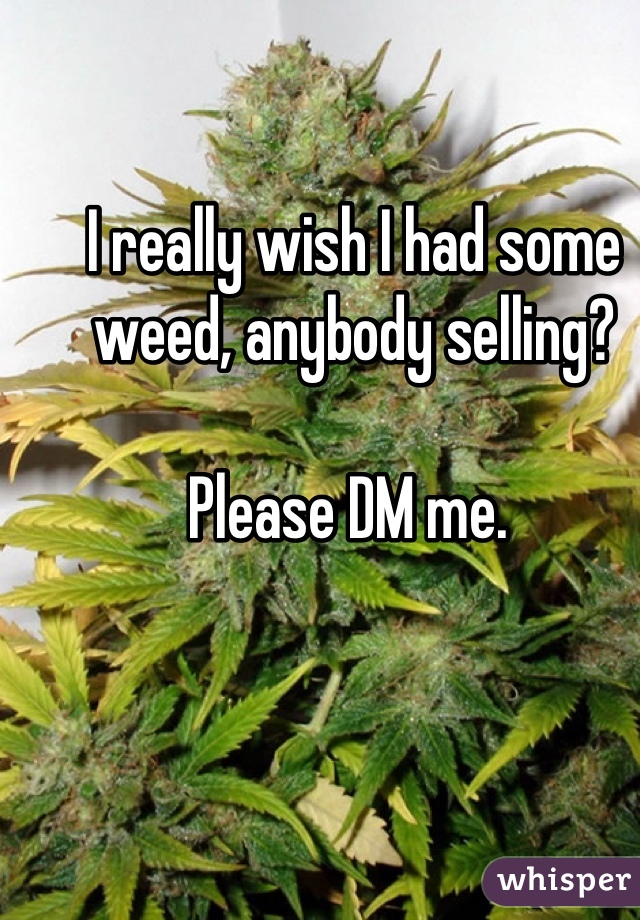 I really wish I had some weed, anybody selling? 

Please DM me. 
