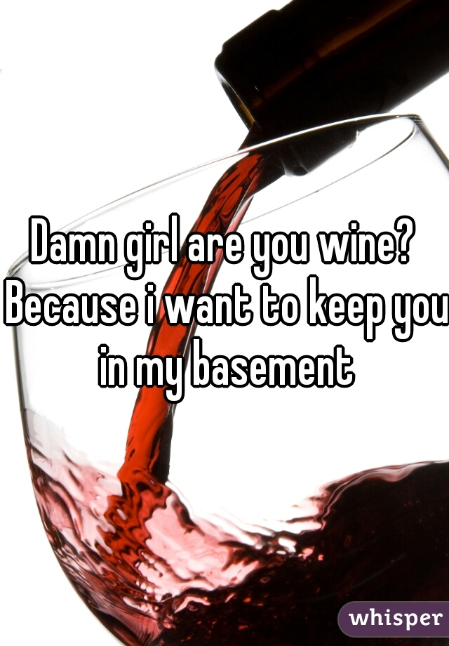 Damn girl are you wine? Because i want to keep you in my basement