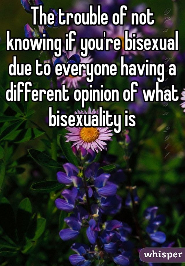 The trouble of not knowing if you're bisexual due to everyone having a different opinion of what bisexuality is 