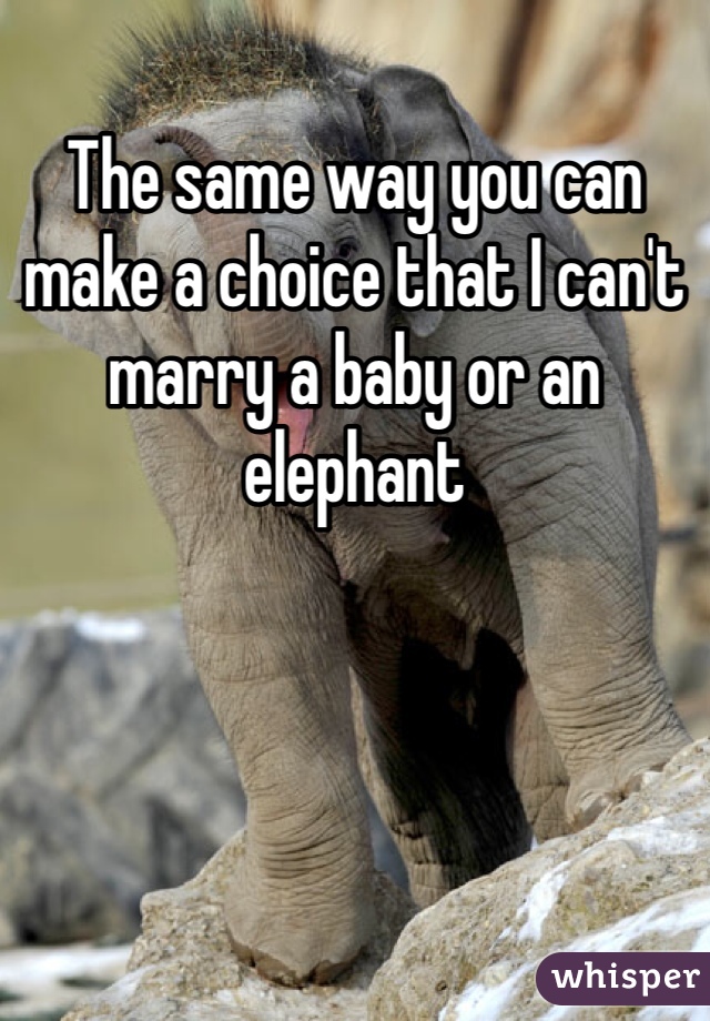 The same way you can make a choice that I can't marry a baby or an elephant 