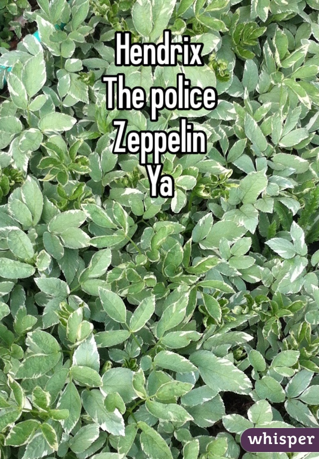 Hendrix 
The police
Zeppelin
Ya 