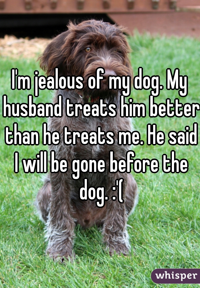 I'm jealous of my dog. My husband treats him better than he treats me. He said I will be gone before the dog. :'(