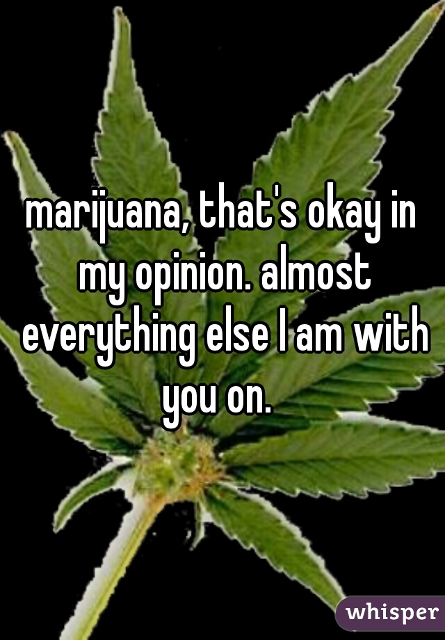 marijuana, that's okay in my opinion. almost everything else I am with you on.  