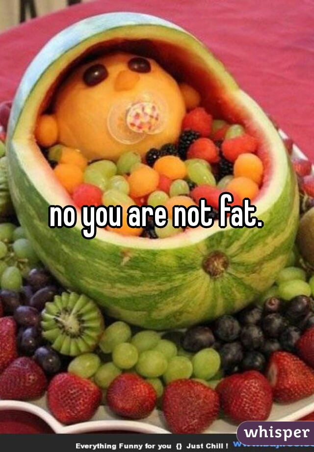 no you are not fat.