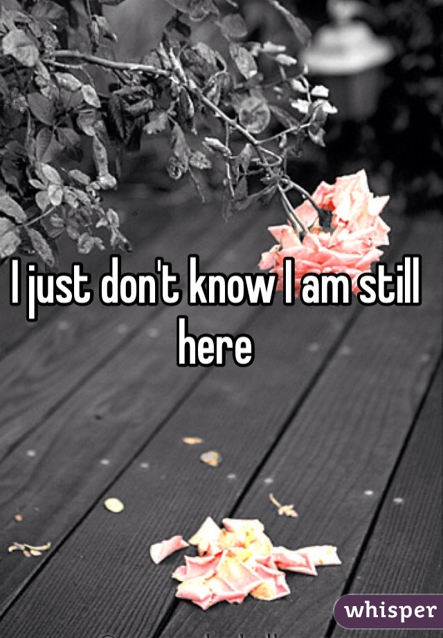 I just don't know I am still here 