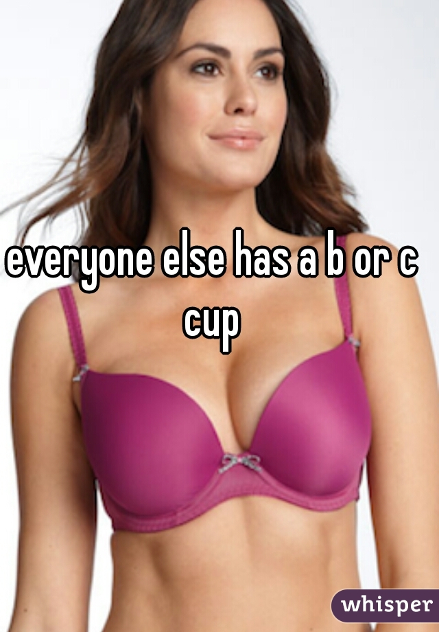 everyone else has a b or c cup 