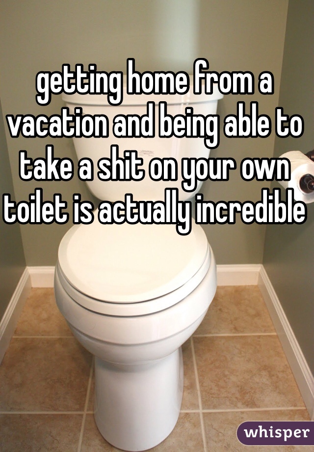 getting home from a vacation and being able to take a shit on your own toilet is actually incredible 