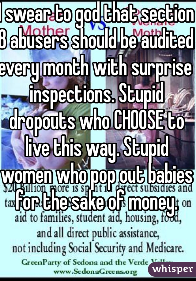 I swear to god that section 8 abusers should be audited every month with surprise inspections. Stupid dropouts who CHOOSE to live this way. Stupid women who pop out babies for the sake of money. 