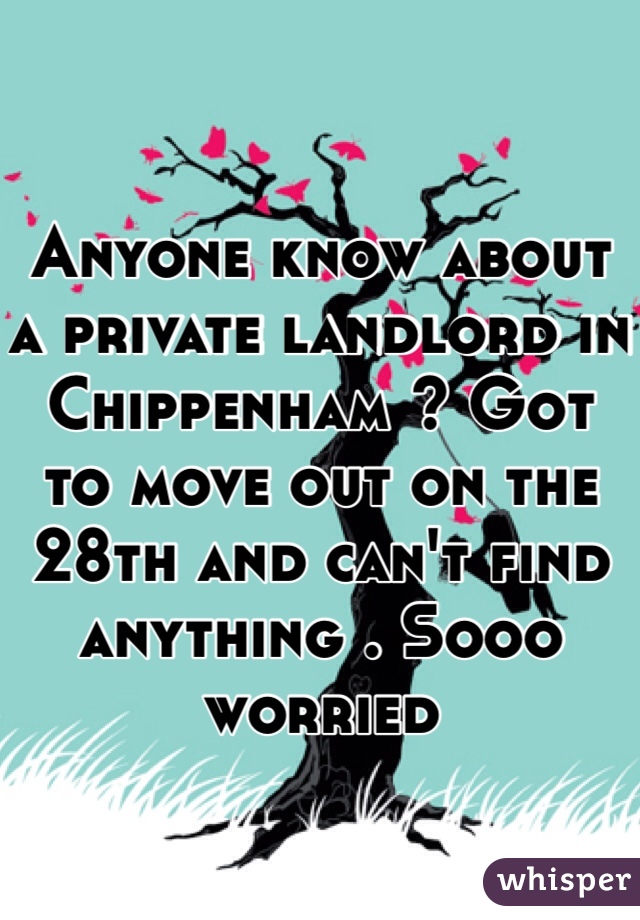 Anyone know about a private landlord in Chippenham ? Got to move out on the 28th and can't find anything . Sooo worried